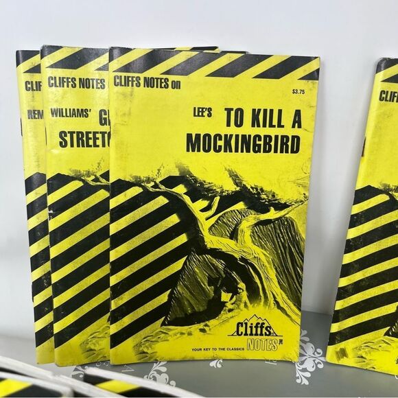 Cliffs Notes Book Bundle Vintage Novels Reading Classics - Picture 4 of 10